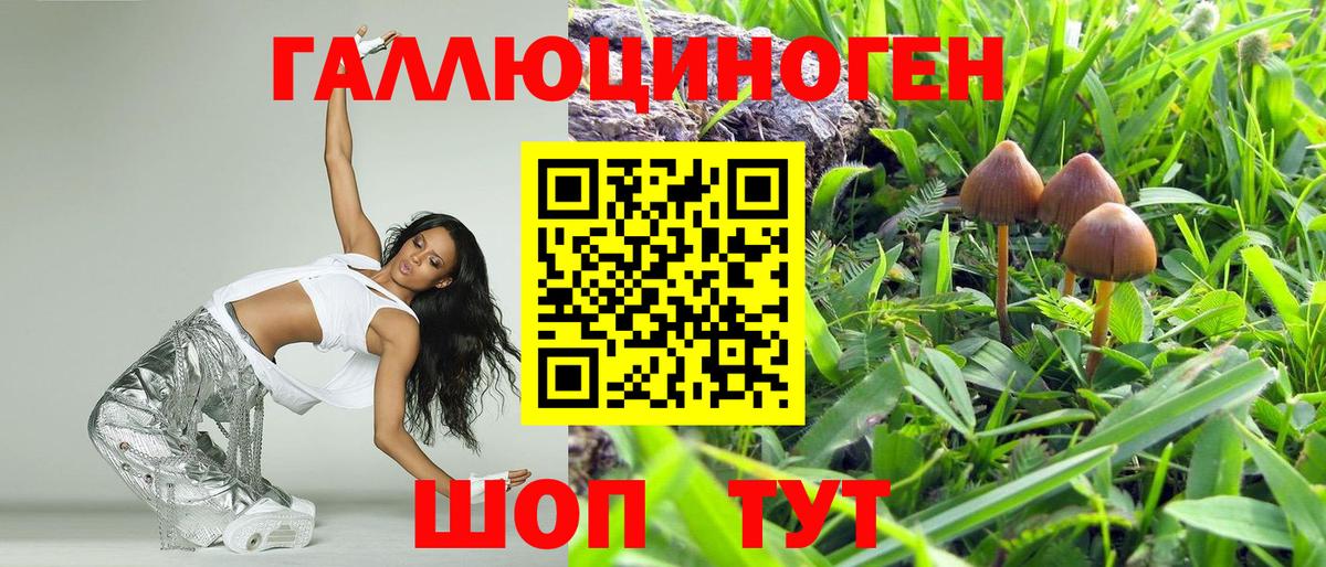 Псилоцибиновые грибы Psilocybine cubensis Ипатово